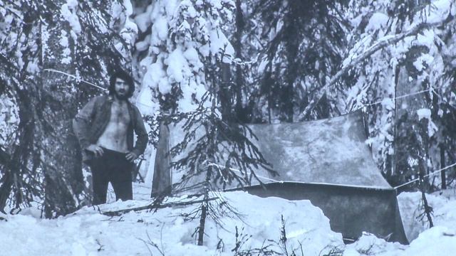 В аэропорту Владивостока открылась выставка дикой природы смотреть онлайн