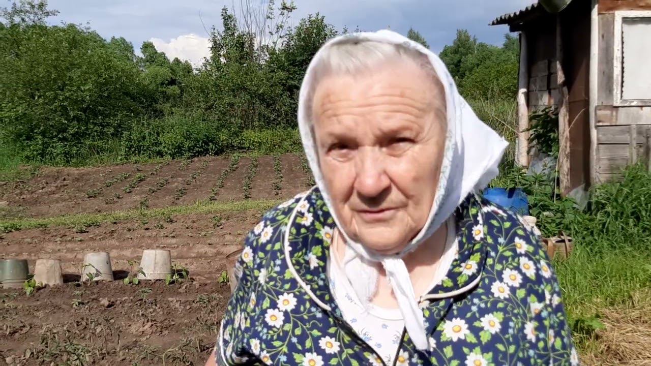 Песня бабка 80 лет нужен. Бабушка в огороде. Бабка 80 лет. Бабушка Маша. Бабушка Дуся