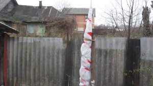 Укрываю на зиму персик Рэд Хейвен и грушу Любимица Клаппа