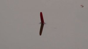 Рыбалка на Озере Карасун, Краснодар на поплавочную удочку. Fishing, angeln, la pesca, câu cá