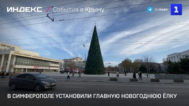 В Симферополе установили главную новогоднюю ёлку