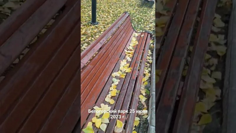Белогорский парк 25 июля 2023 г.