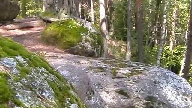 Валуны  под Сморгонью