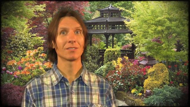 Випассана изнутри: Ион Ермаков - О соблазнах, лечебном дыхании и мышечных зажимах; о 8м погружении смотреть онлайн