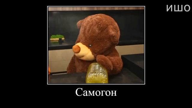 Муд Влад А4 демотиватор (Плюшевый Мишка стал Живым)