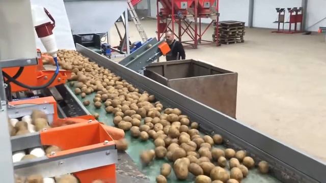 Сельскохозяйственная техника для хранения и предпродажной подготовки овощей и фруктов смотреть онлайн