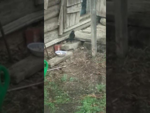 21 мая 2023 г. смотреть онлайн