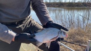 ФИДЕР ВЕСНОЙ ЧАСТЬ 3.mp4