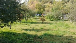 Проверка и настройка Оптического прицела!