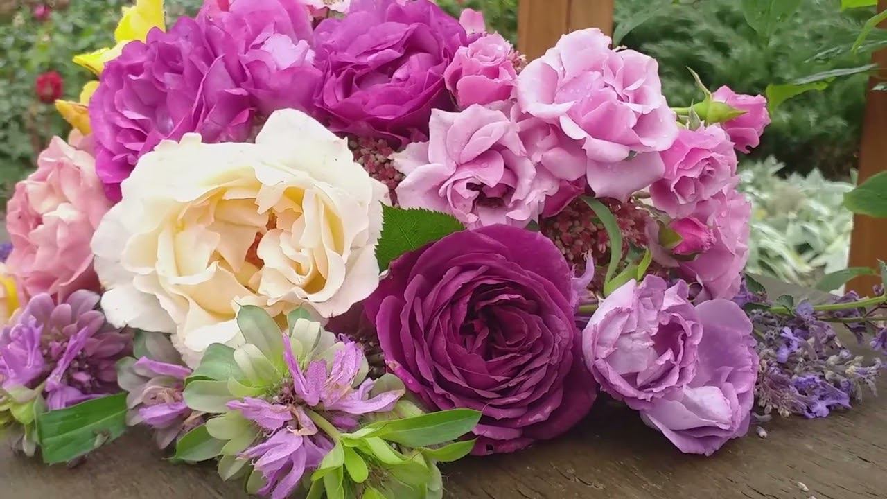 Сочетания... Блю Иден + 8 роз. И компаньоны к ним