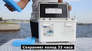 Термобокс термоконтейнер изотермический SHINWA Holiday Land Cooler 11H