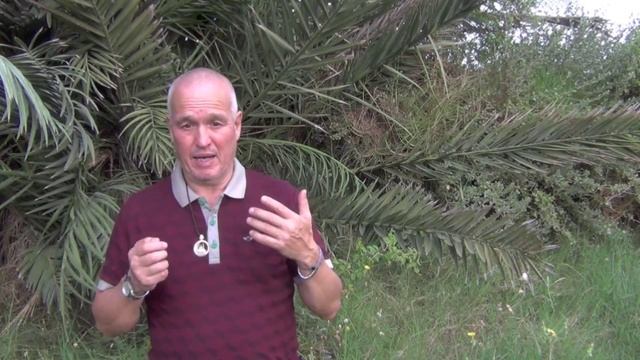 "Генератор Контента", Булат Адигамов