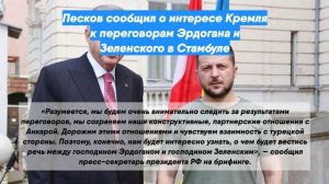 Песков сообщил о интересе Кремля к переговорам Эрдогана и Зеленского в Стамбуле