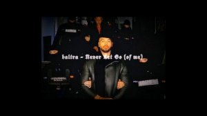 Baltra - Never Let Go (of me) reverb