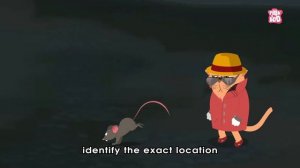 How Do Cats Survive Massive Falls? - The Dr. Binocs Show | Learning Videos For Kids | Peekaboo Kidz