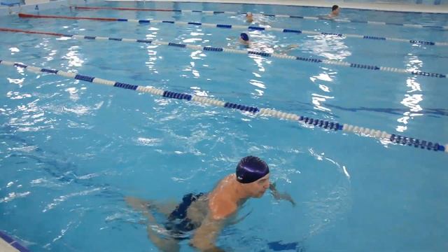 Соревнования по плаванию среди людей пожилого возраста смотреть онлайн