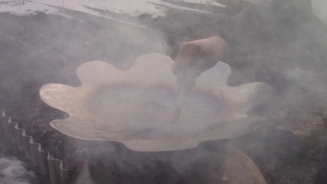 садж ромашка за один день, тест на прилипаемость смотреть онлайн