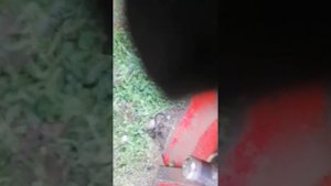 Продолжение ремонта косилки чувашпиллер.