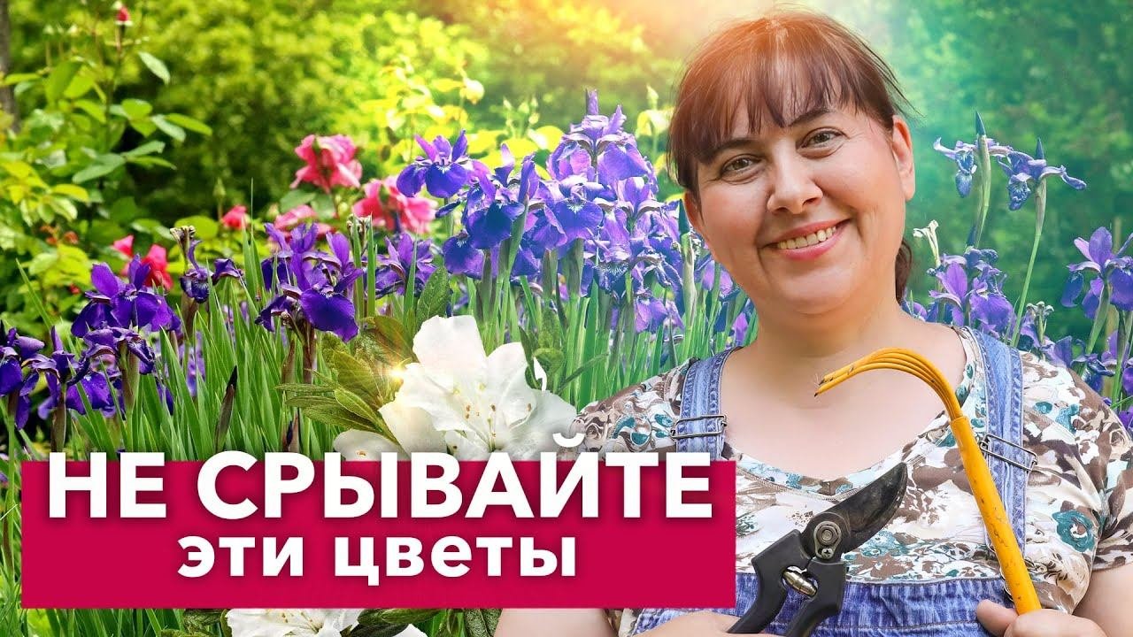 ВОСХИТИТЕЛЬНО КРАСИВЫЕ ЦВЕТЫ, которые ни в коем случае нельзя срывать! Лучше посадите сами