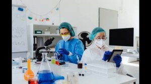 Якорцы стелющиеся и афродизиакальная активность