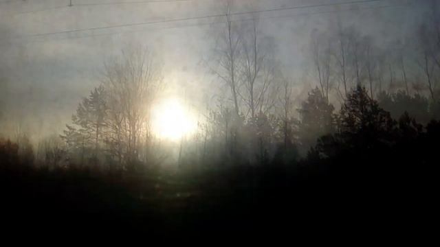 САДЪ - Песня про гнутый тополёк. Клип смотреть онлайн