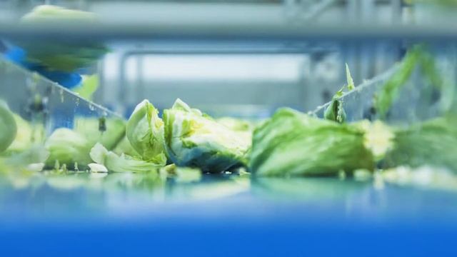 Нарезка кочанных салатов (завод в Московской области г.Котельники). смотреть онлайн