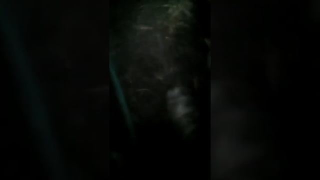 Как искать червей гробовиков смотреть онлайн