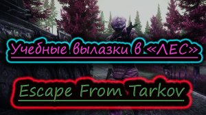 КОГДА ЖЕ Я НАУЧУСЬ ВЫХОДИТЬ С ХАБАРОМ ✔ Escape From Tarkov стрим