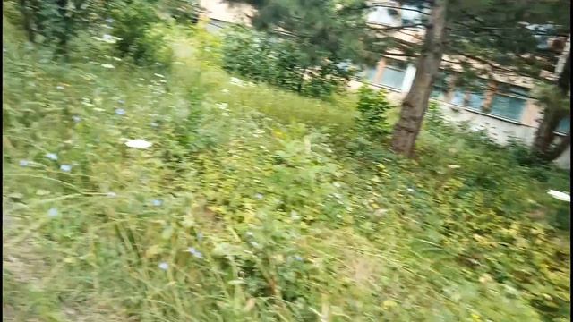 Санаторий "Ставрополье" смотреть онлайн