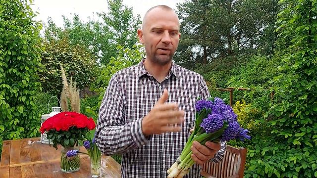 Hyacinthus - test 2020-05-23 смотреть онлайн