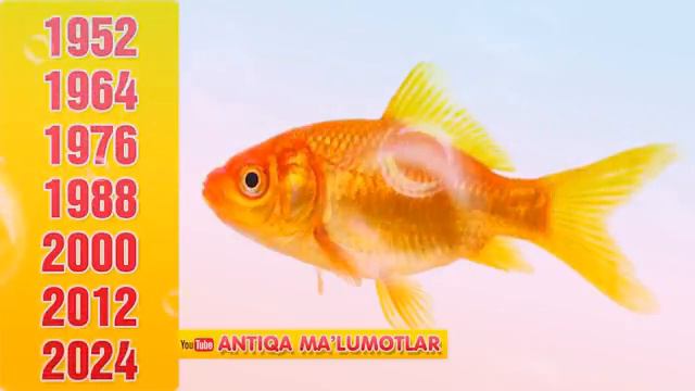 Мучалингиз.оркали.характирингизди.билиб.олинг.🇷🇺🇰🇿🇰🇬🇺🇿🇹🇯👍👍🤠🤠 смотреть онлайн