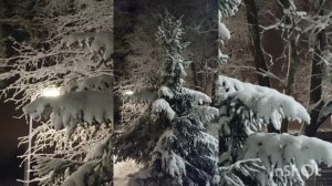 Зимняя сказка в Малое Карлино. ❄/Winter fairy tale in Small Karlino.