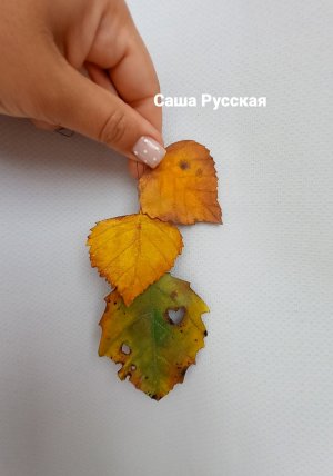 Текстильные листья от Саши Русской