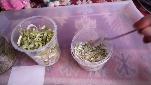 Лук Порей- любимый! Когда и как посадить. смотреть онлайн