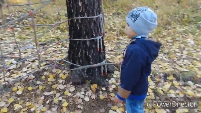 Лес Чудес. Часть 1. Семья Пермяковых. Отдых. Прогулка. Иркутск. Голоустное. Светлый яр. Церковь смотреть онлайн