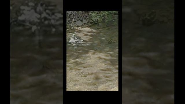 Звук природы. Горный ручей и пение лесных птиц