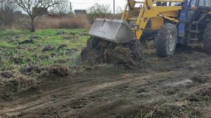 Нам достался земельный участок.