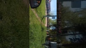 Раменский район Синьково 8 мая 2018 года