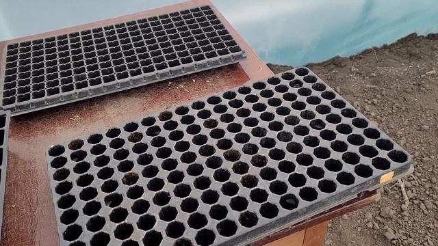 Кассеты для рассады овощей. смотреть онлайн