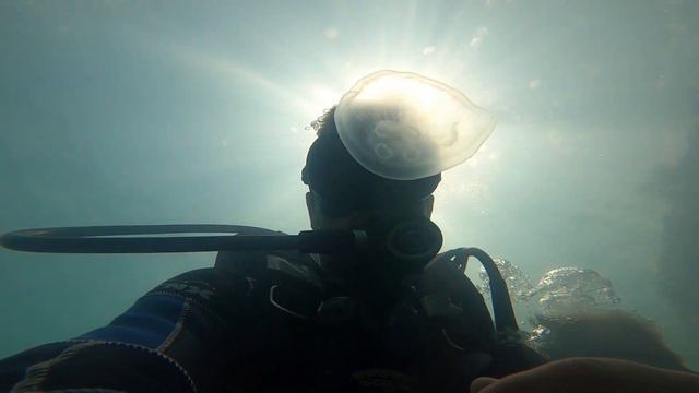 #дайвинг "акваполис" 26.07.2022 смотреть онлайн