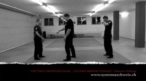 Systema Video 3