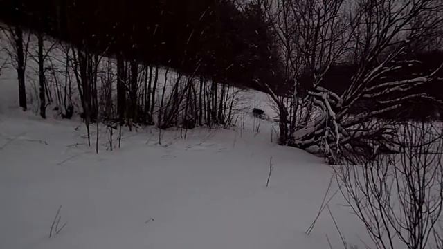 2х гусеничный буксировщик едет даже сквозь кусты! Всесезонная мотособака смотреть онлайн