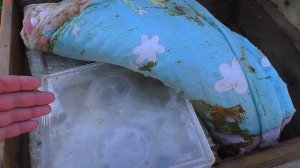 Правильная стимуляция и закорм пчел в августе.