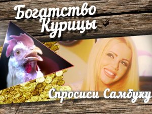 Богатство Курицы: Спроси Самбуку. Совет №2