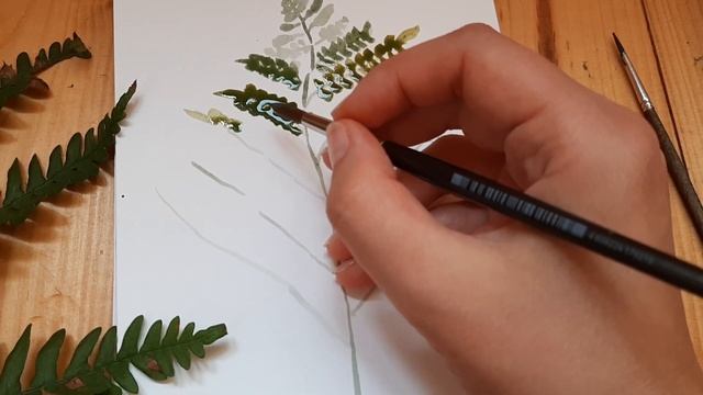 Рисуем ПАПОРОТНИК АКВАРЕЛЬЮ.  Уроки рисования для новичков