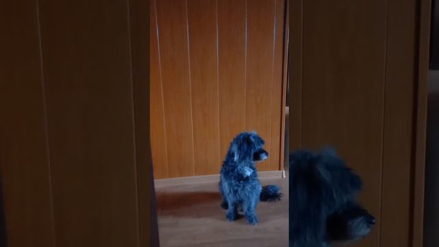 Счастливое утро. Автор Алиева Венераhttps:www.youtube.comvenera.shajxutdinova1966gmail.com