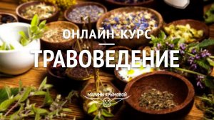 Онлайн Курс "Травоведение" Промо