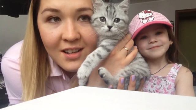СМЕШНЫЕ ГОЛОСА Хотим лето и море! Мини ВЛОГ У нас очень холодно! Кот Шерлок