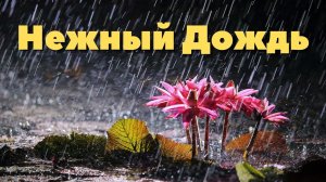 432 Гц Нежный Дождь Положительная Энергия ✤ Частота Чудесного Исцеления