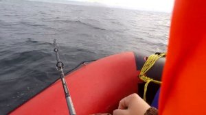 Рыбалка на Кольском .  Вторая морская рыбалка 2019 год